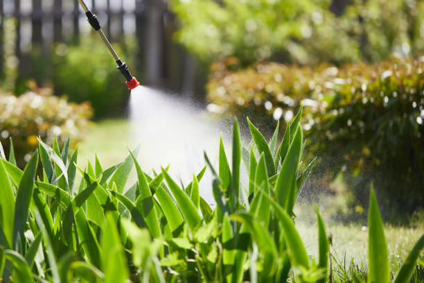 Tamper-Resistant Bait Stations for Rodents in Indian Lake