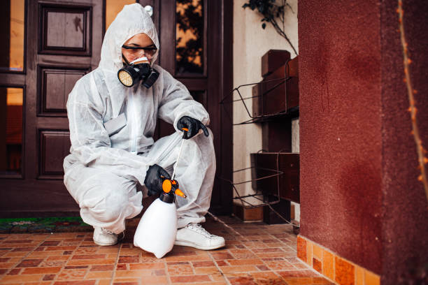 Attic and Crawl Space Rodent Treatment in Indian Lake
