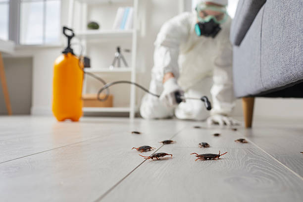 Commercial Rodent Management in Indian Lake